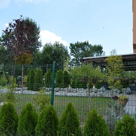Camp And Pool